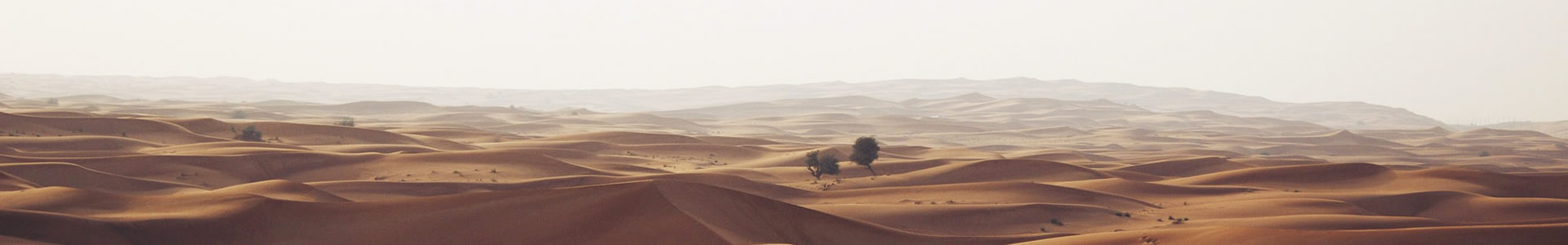 ز¡ʯĹճ